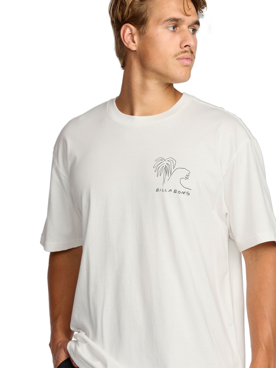 Billabong Men's Scenes Regular T-Shirt