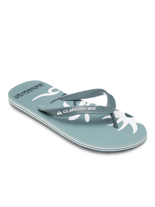 Quiksilver Men's Molokai Screen Flip Flop