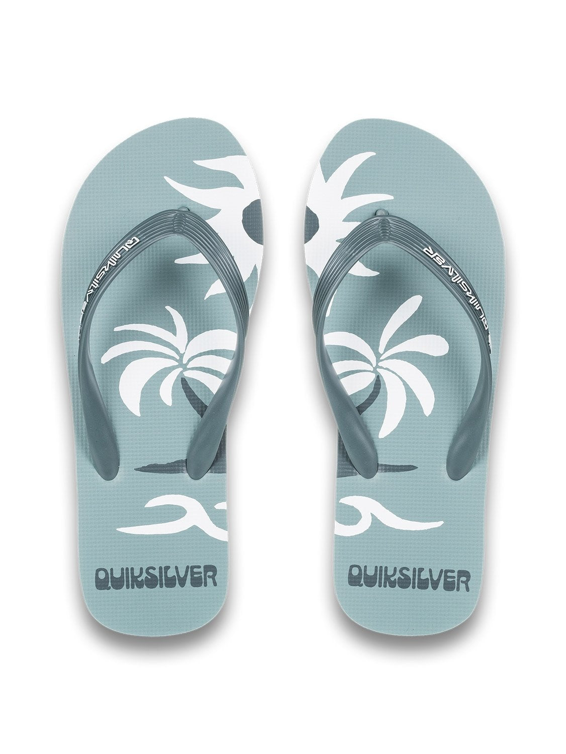 Quiksilver Men's Molokai Screen Flip Flop