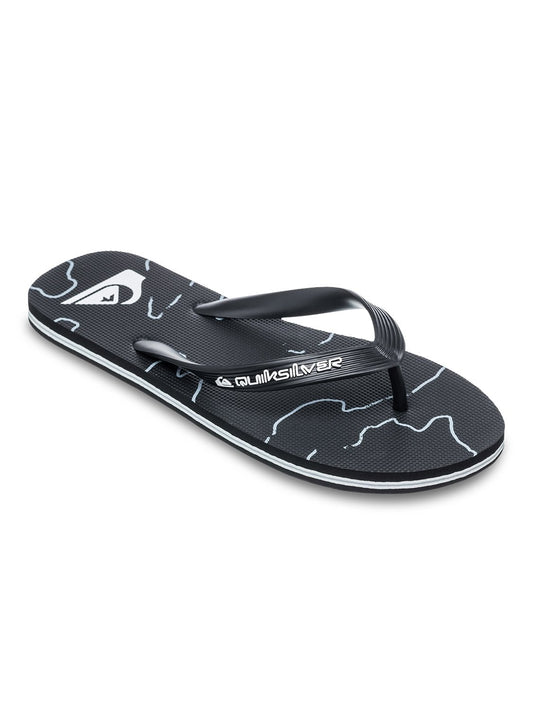 Quiksilver Men's Molokai Art Flip Flop
