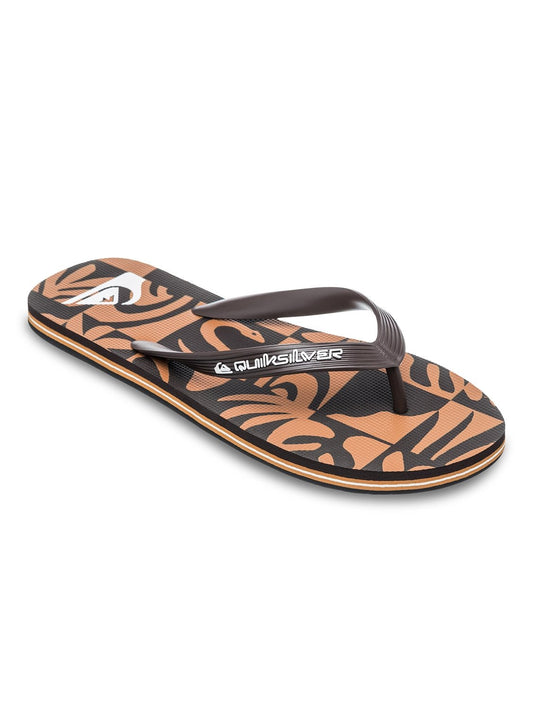 Quiksilver Men's Molokai Art Flip Flop