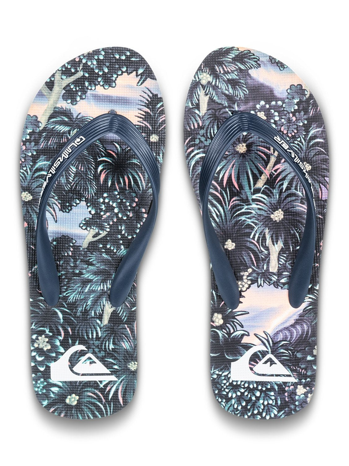 Quiksilver Men's Molokai Art Flip Flop