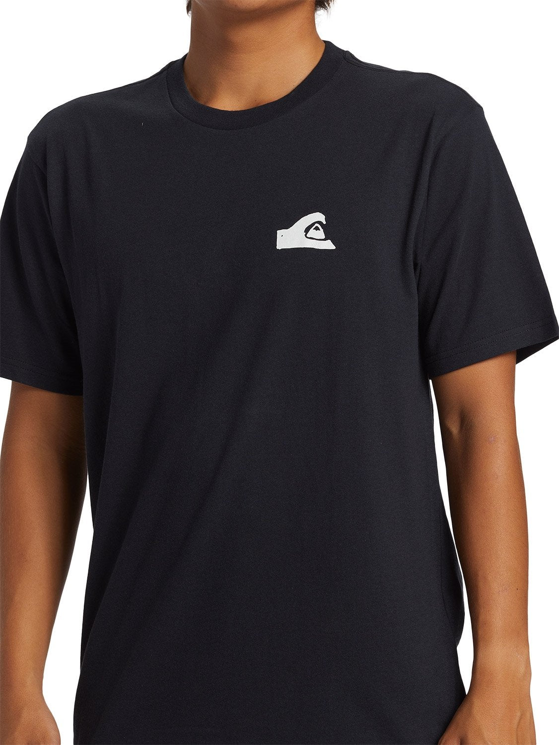 Quiksilver Men's Mikey Logo DNA T-Shirt