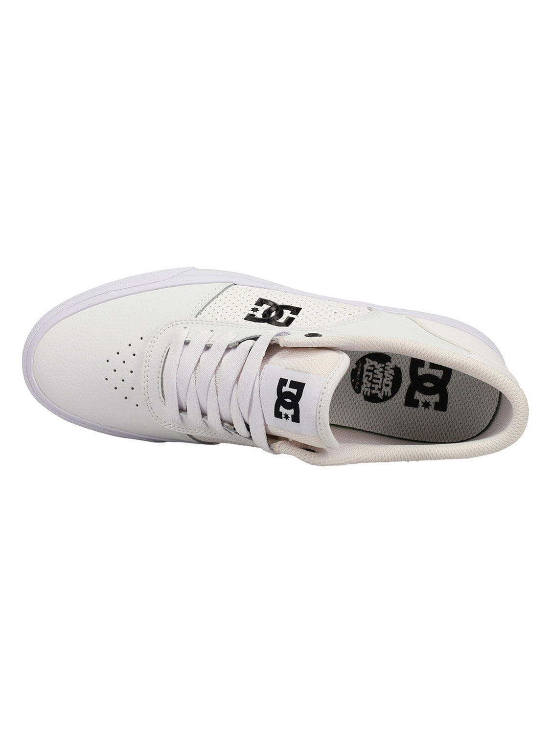DC Men's Teknic Shoe