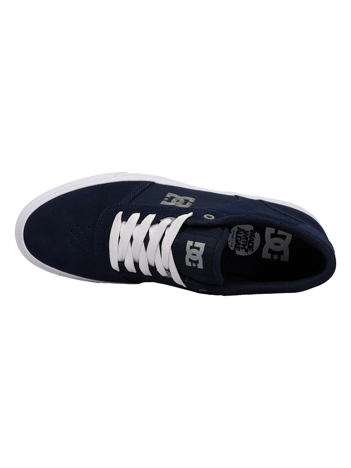 DC Men's Teknic Shoe