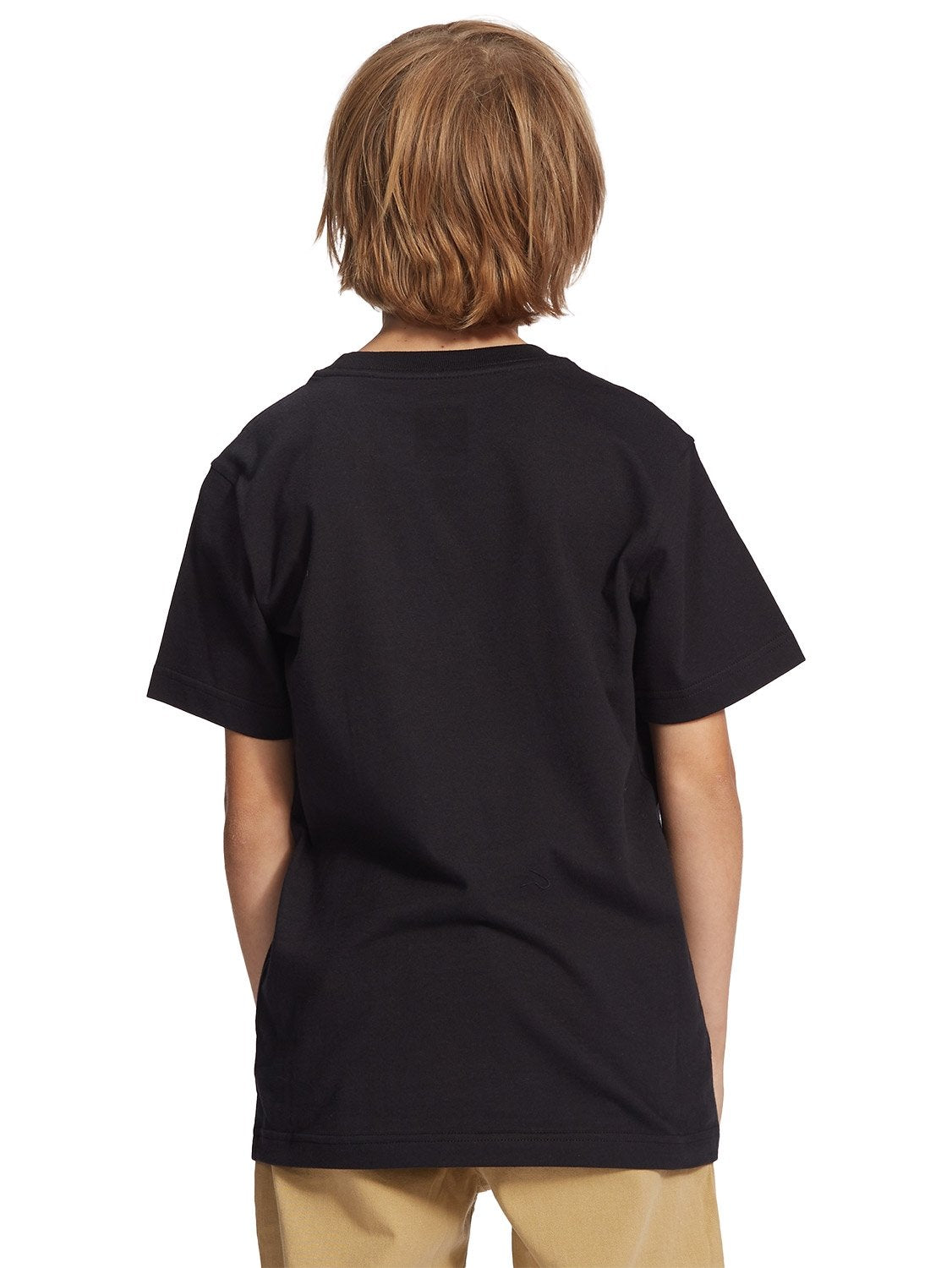 DC Boys SA Flag Drip T-Shirt