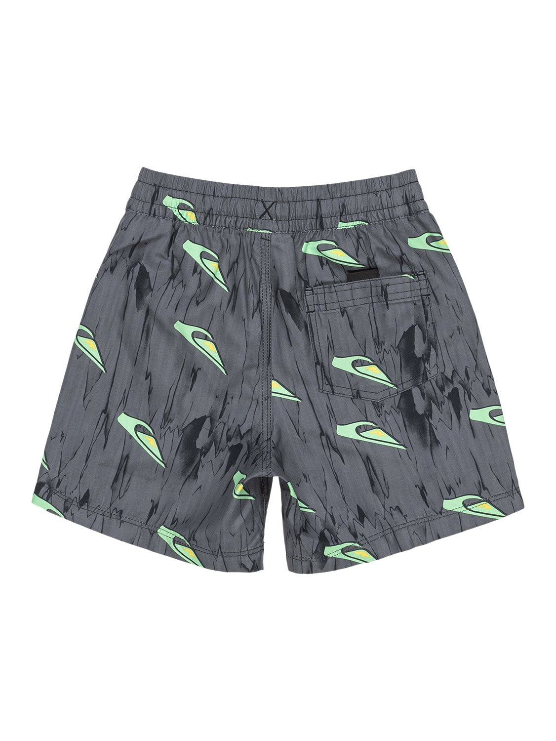 Quiksilver Pre-Boys Next Gen 12" Volley