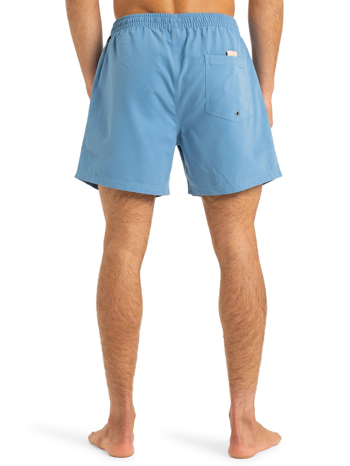 Quiksilver Men's Everyday Solid 15" Volley