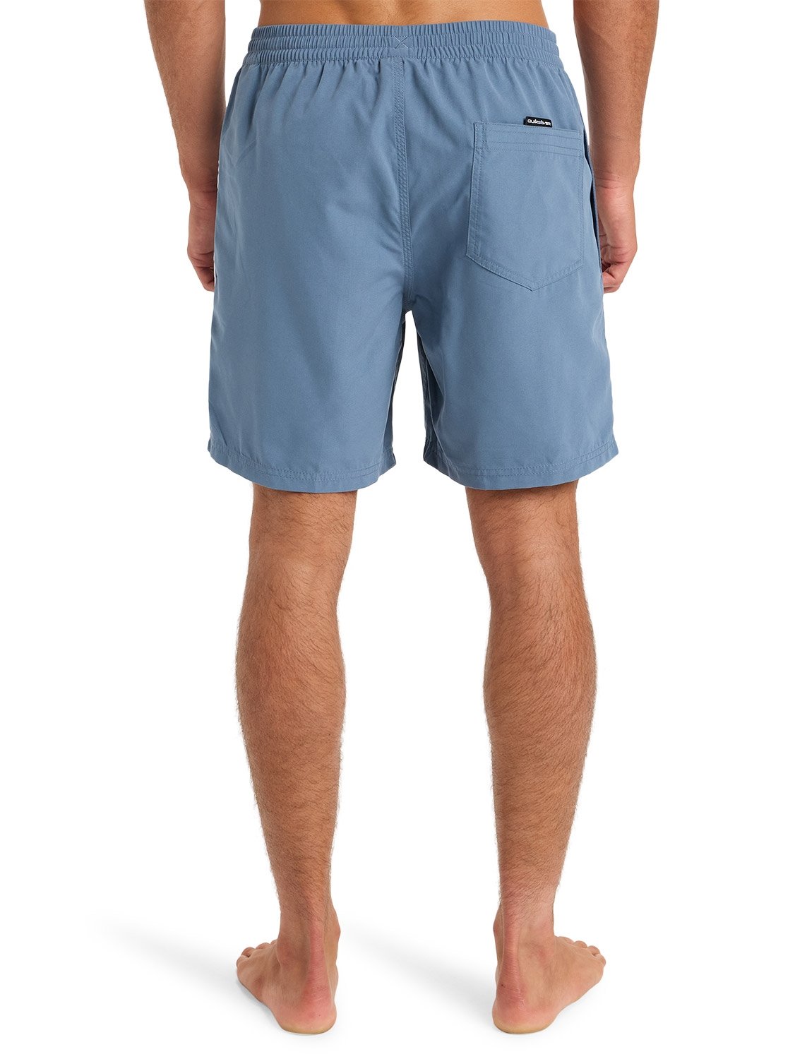 Quiksilver Men's Everyday Vert 17" Volley