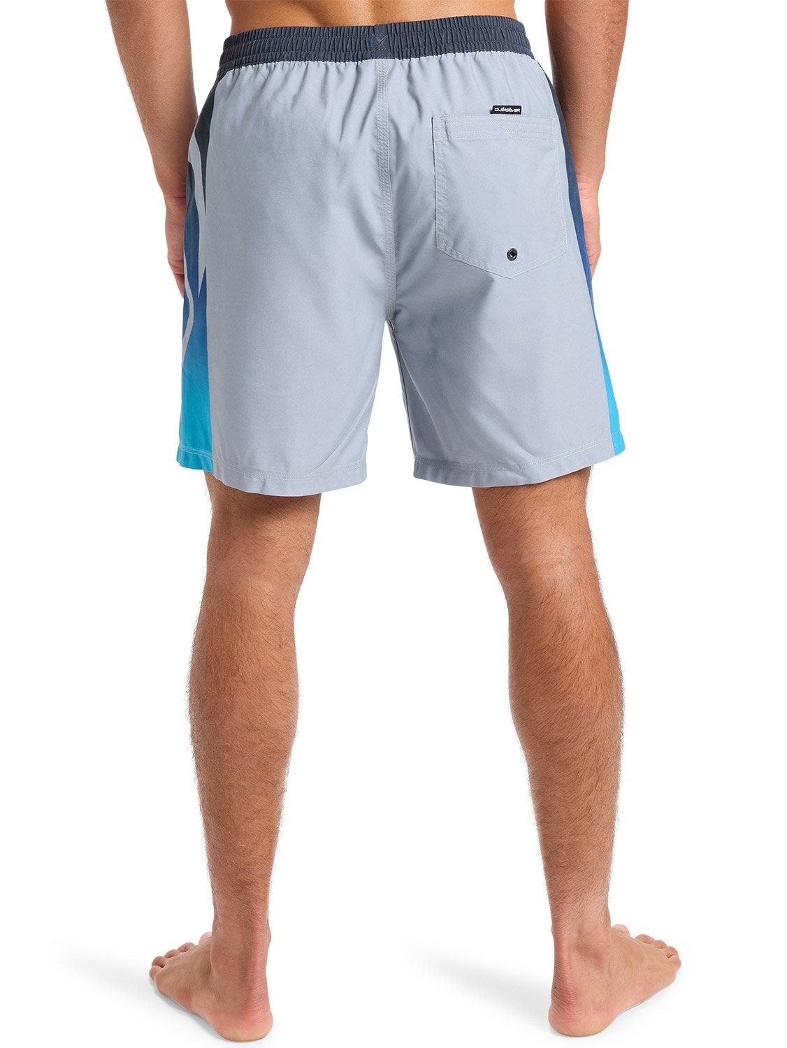 Quiksilver Men's Everyday Holmes 17" Volley