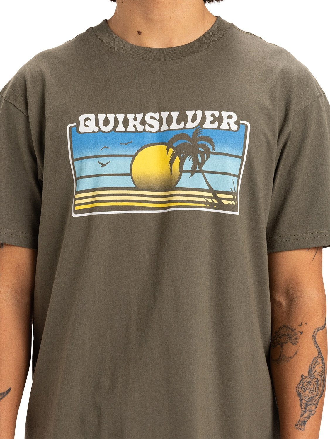 Quiksilver Men's Sun Faded T-Shirt