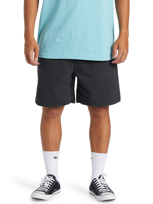 Quiksilver Men's Taxer Walkshort