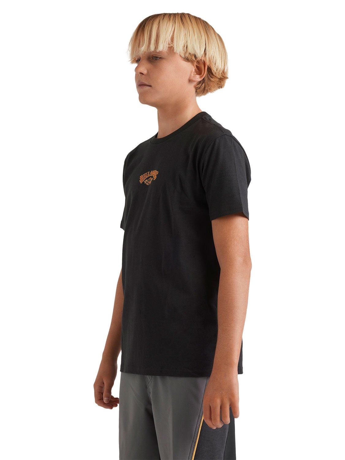 Billabong Boys Rose Arch T-Shirt