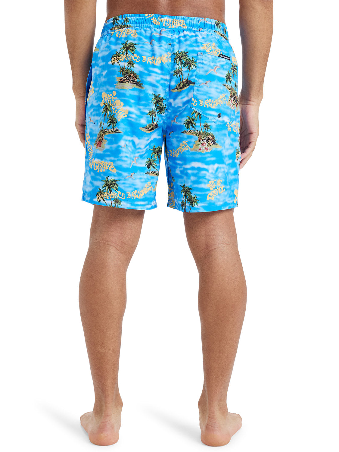 Quiksilver Men's Safe Paradise 17" Volley