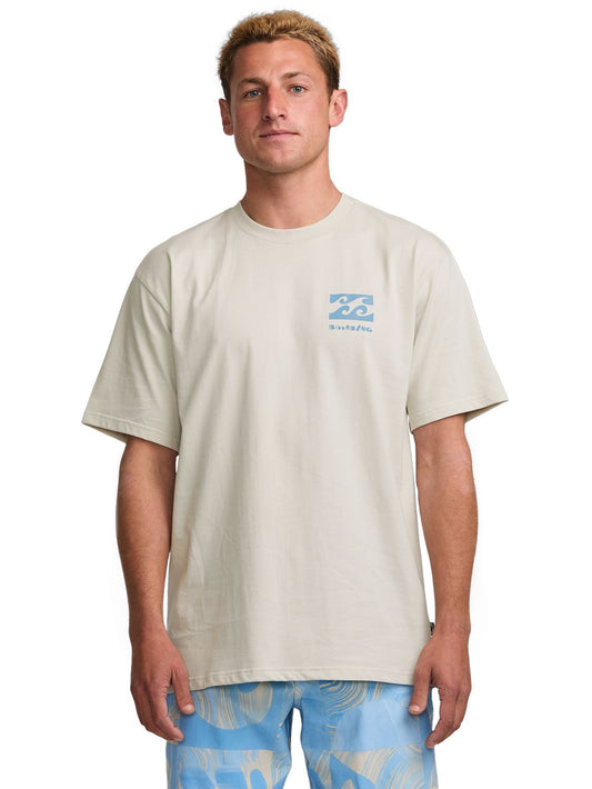 Billabong Men's Elements Regular T-Shirt