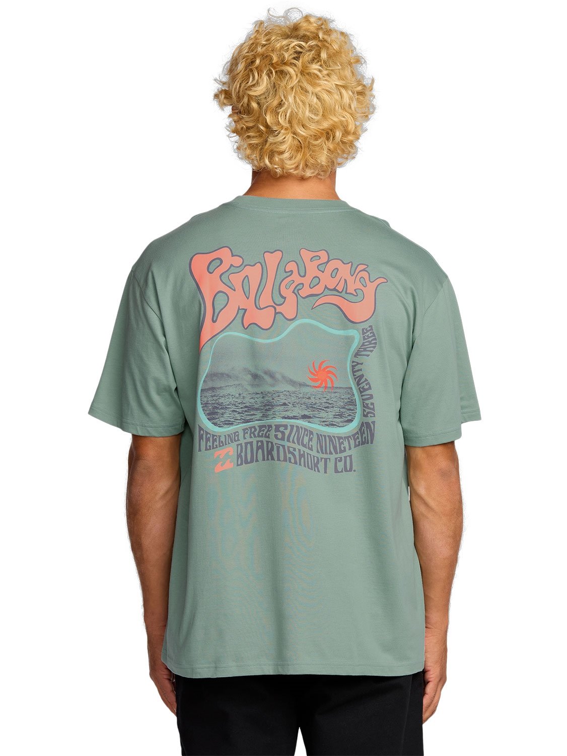 Billabong Men's Morning Haze Regular T-Shirt