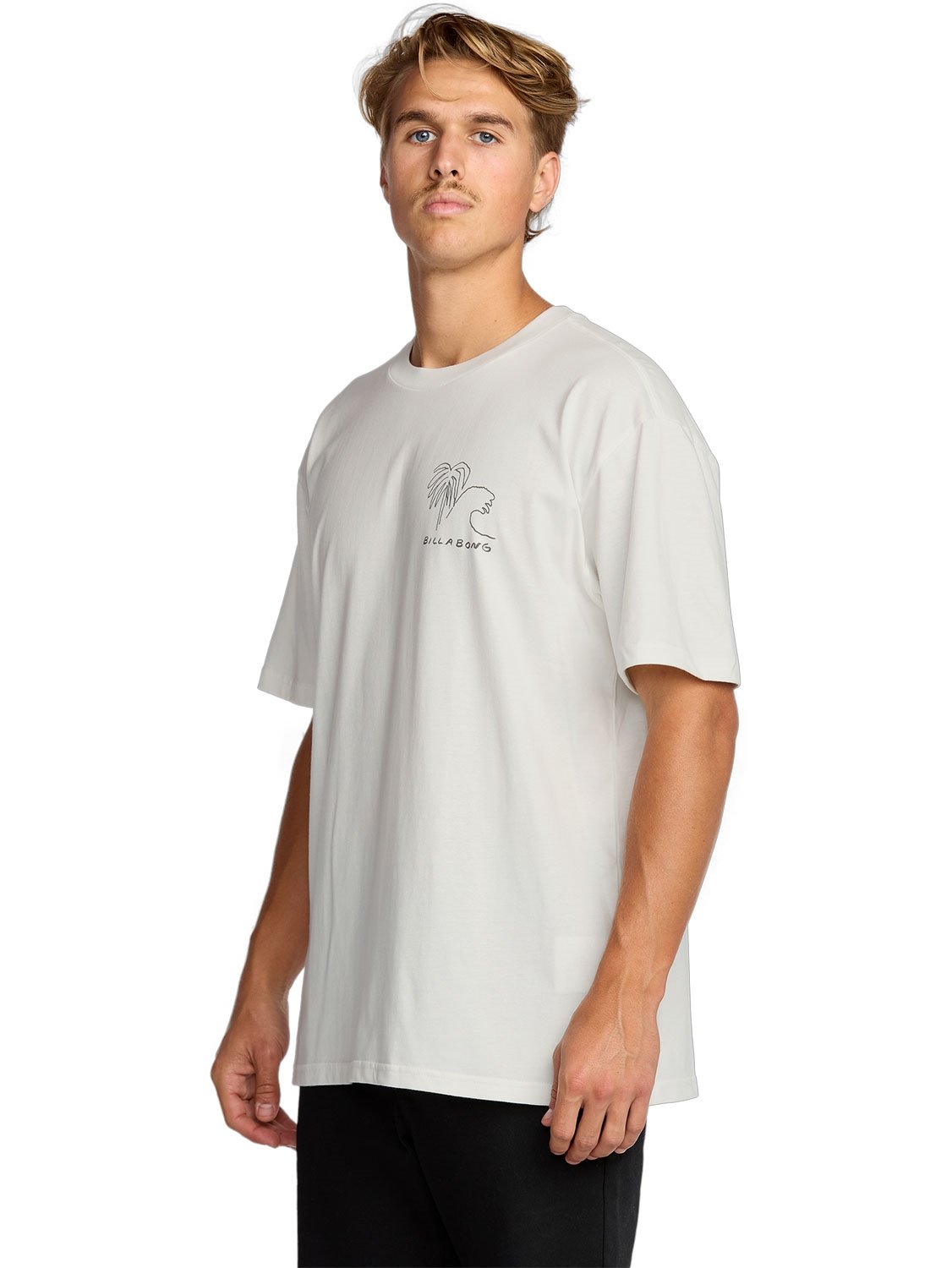 Billabong Men's Scenes Regular T-Shirt