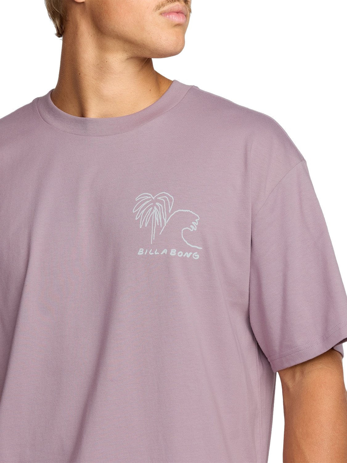 Billabong Men's Scenes Regular T-Shirt