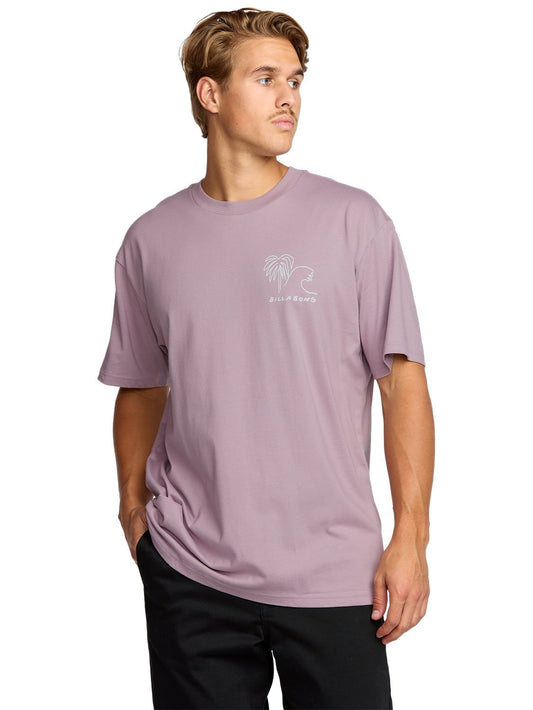 Billabong Men's Scenes Regular T-Shirt