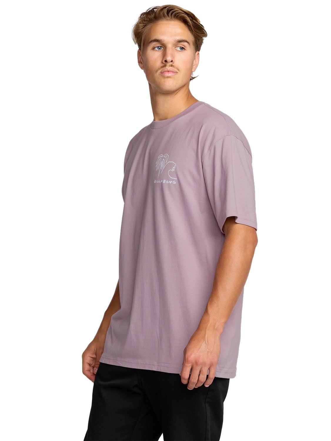 Billabong Men's Scenes Regular T-Shirt