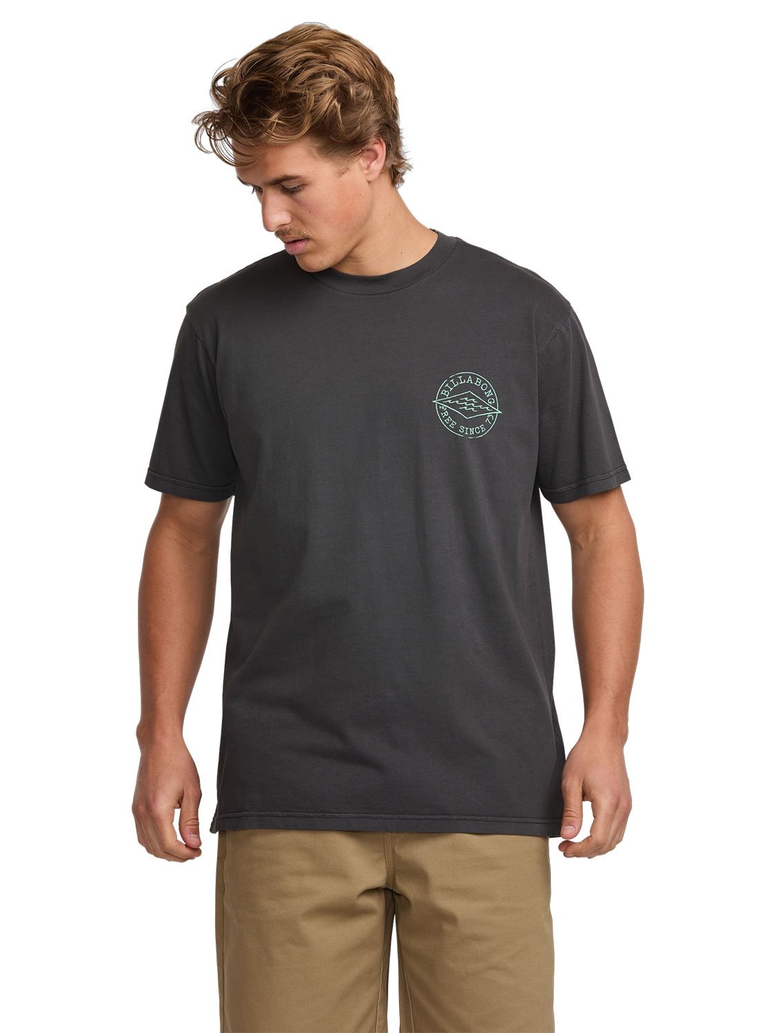 Billabong Men's Big Dave Premium T-Shirt