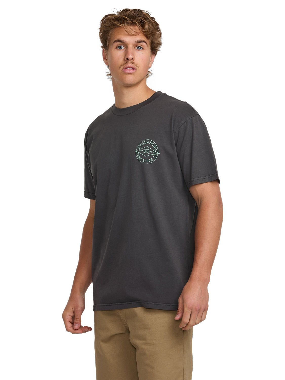 Billabong Men's Big Dave Premium T-Shirt