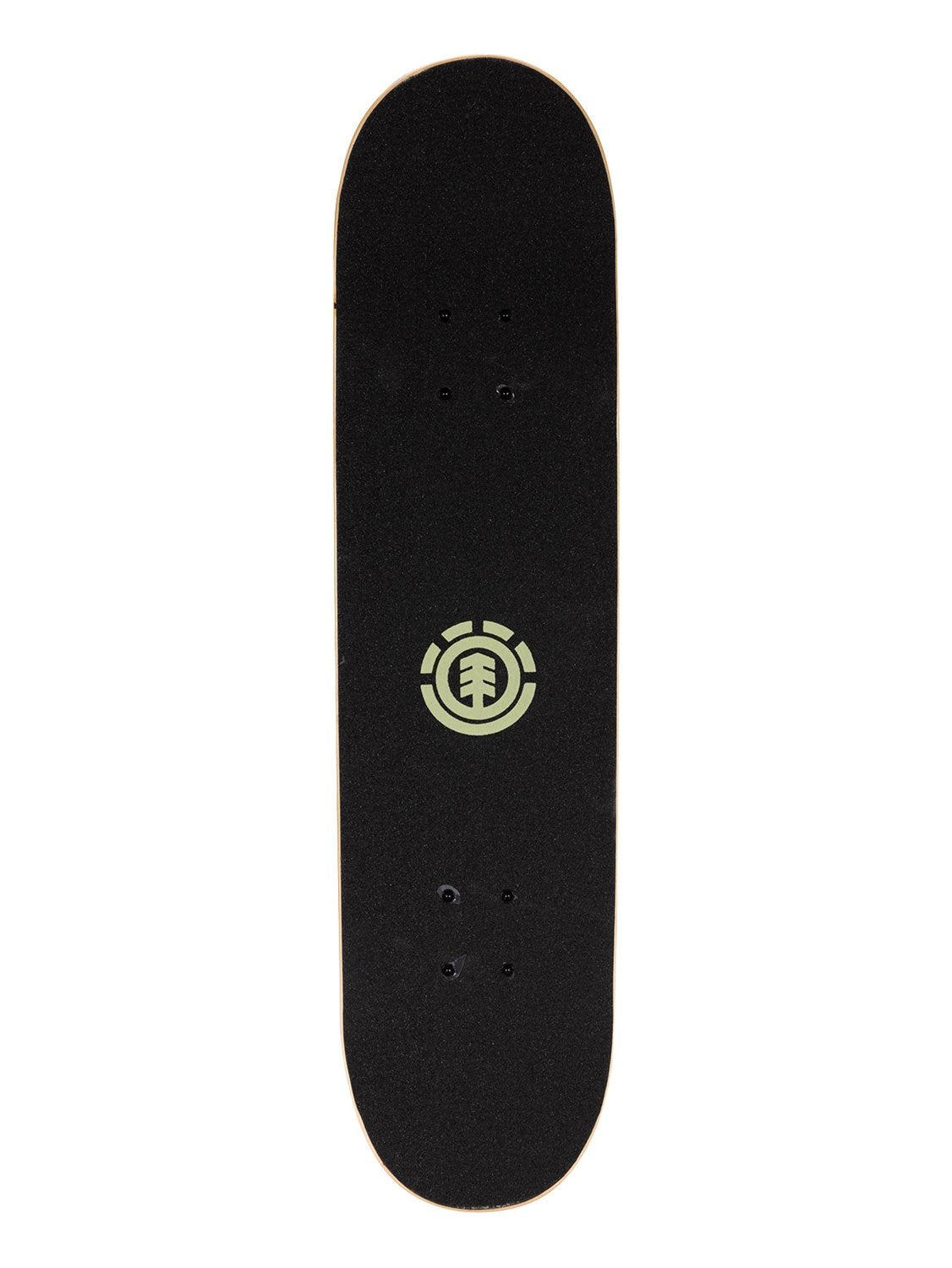 Element Popsicle Dragon 31" Complete Skateboard