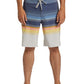 Billabong Men's All Day Stripe Pro 20" Boardshort