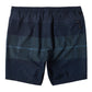 Billabong Men's Surftrek Elastic 17" Walkshort