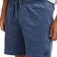 Billabong Men's Larry Layback 18" Cord Walkshort