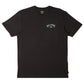 Billabong Men's Arch Fill T-Shirt