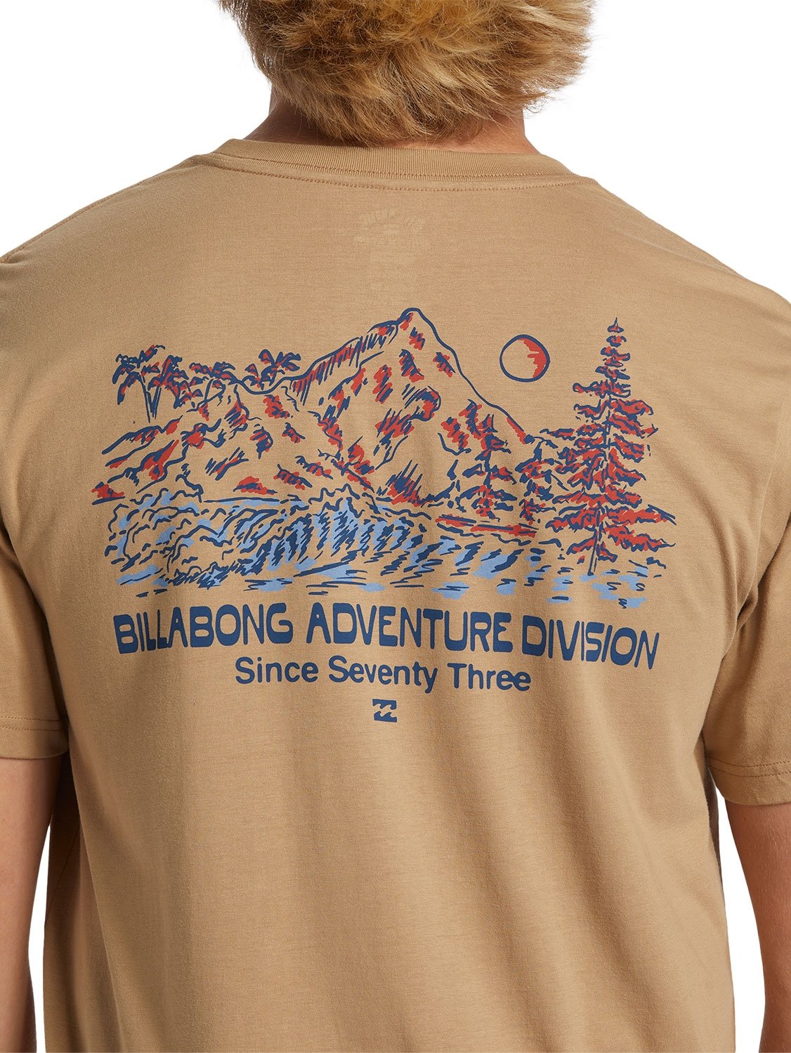 Billabong Men's State Park T-Shirt