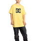 DC Boys DC Star T-Shirt