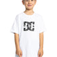 DC Boys Star Glow T-Shirt