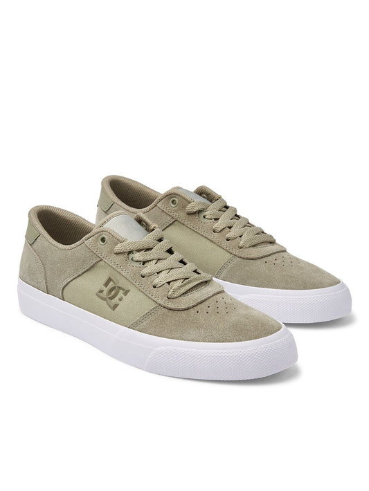 DC Men's Teknic Shoe