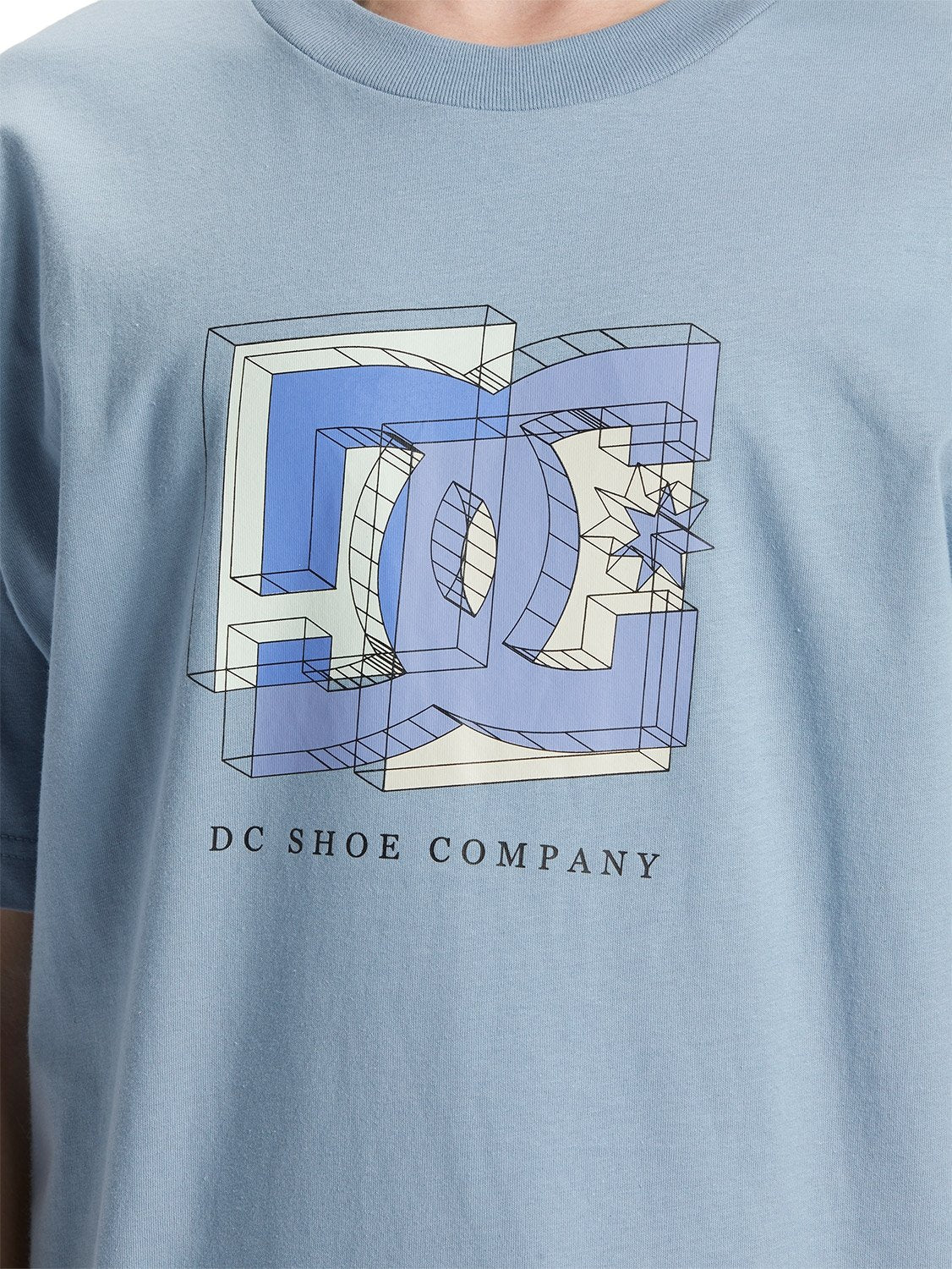 DC Men's Fine Art T-Shirt