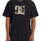 DC Men's Star Fill T-Shirt