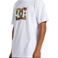 DC Men's Star Fill T-Shirt