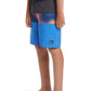 Quiksilver Boys Everyday Panel 17" Boardshorts