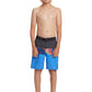 Quiksilver Boys Everyday Panel 17" Boardshorts