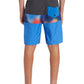 Quiksilver Boys Everyday Panel 17" Boardshorts