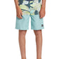 Quiksilver Boys Everyday Division 20" Boardshort