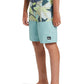 Quiksilver Boys Everyday Division 20" Boardshort