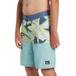 Quiksilver Boys Everyday Division 20" Boardshort