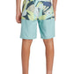 Quiksilver Boys Everyday Division 20" Boardshort