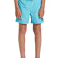 Quiksilver Boys Everyday Solid 14" Volley