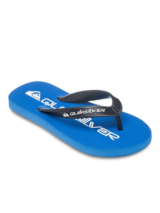 Quiksilver Boys Java Wordmark Flip Flop