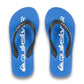 Quiksilver Boys Java Wordmark Flip Flop