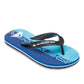 Quiksilver Boys Molokai Art Flip Flop