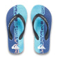 Quiksilver Boys Molokai Art Flip Flop